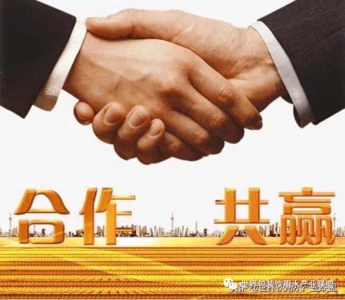 共享共赢 矿泉水项目市场营销策划与战略规划方案